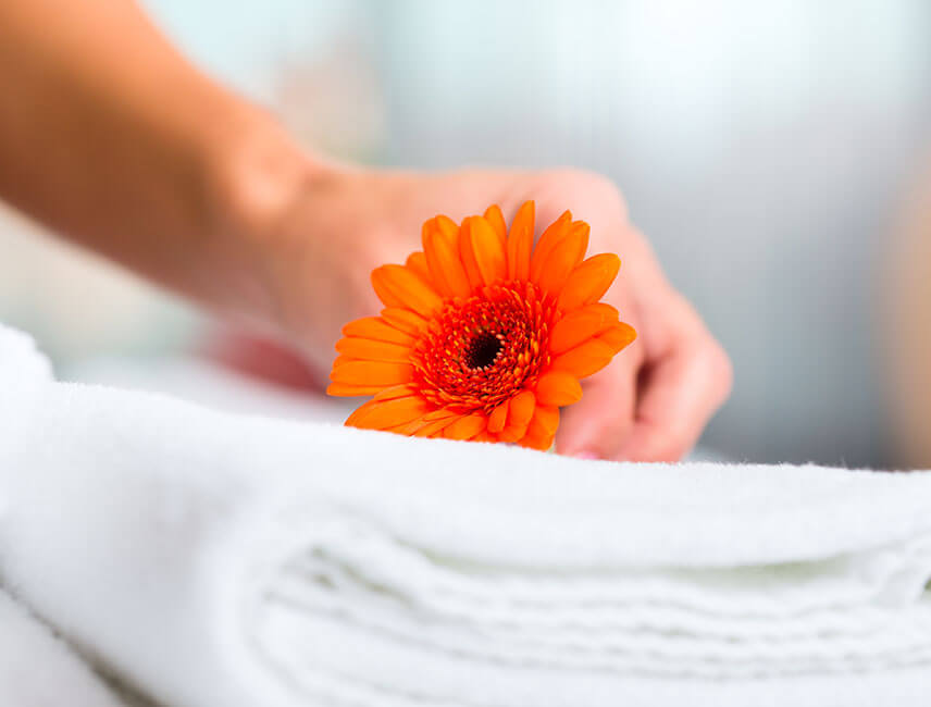 Voyage - Staff Detailing